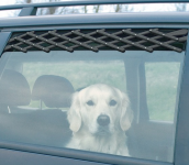 犬とのドライブ注意したい３つのこと！あると便利グッズ！